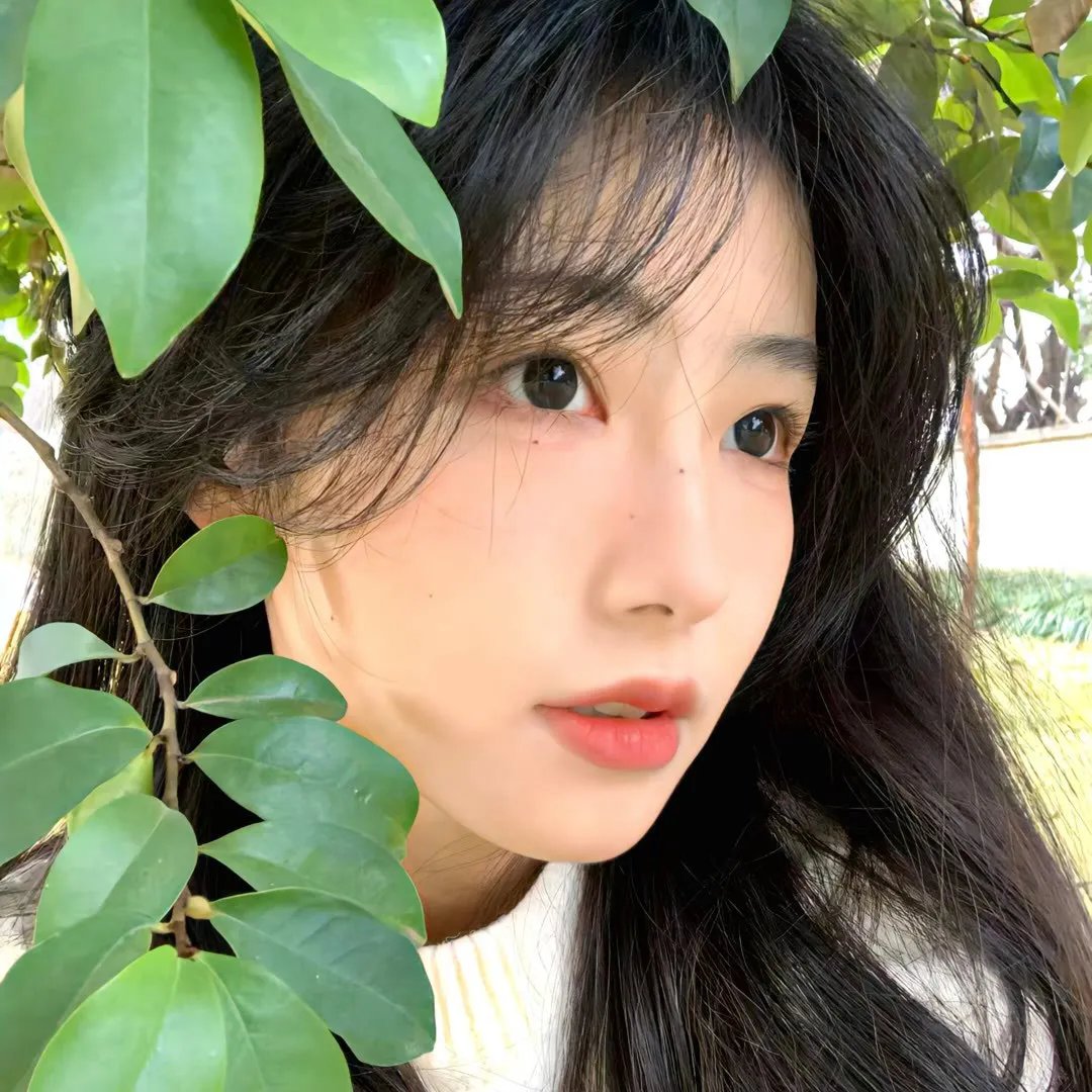 李清照