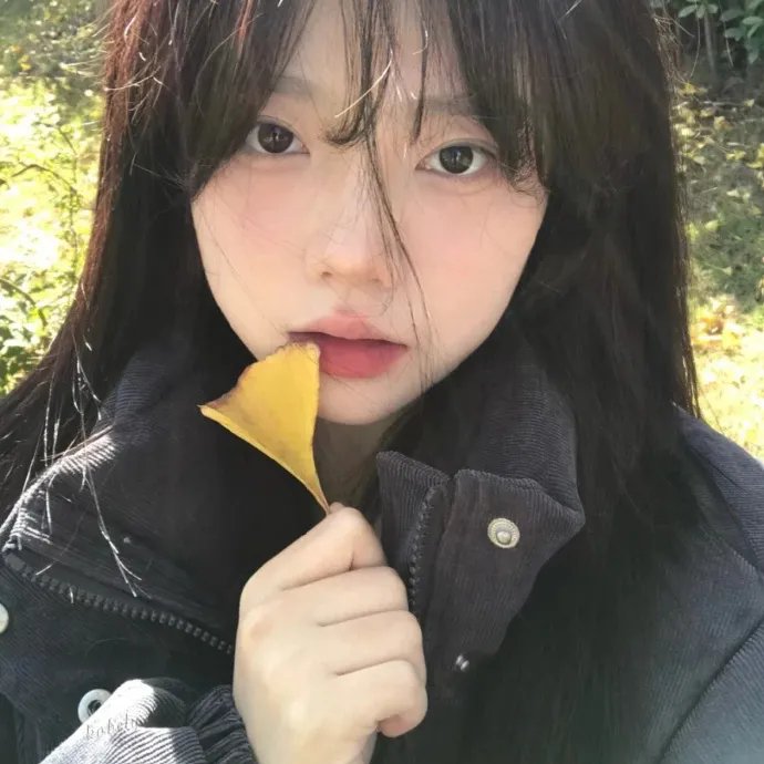 爱芯第一季